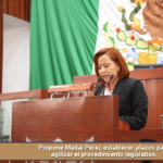 Propone Madai Pérez establecer plazos para agilizar el procedimiento legislativo.