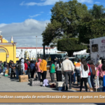 Realizan campaña de esterilización de perros y gatos en San Pablo del Monte.