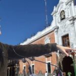 Primera renuncia en el gabinete de Lorena Cuéllar: funcionario buscará Coordinación Distrital Federal; su identidad aún no se revela.